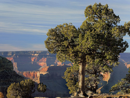 Picture of HERMITS REST-SOUTH RIM OF GRAND CANYON NATIONAL PARK-ARIZONA