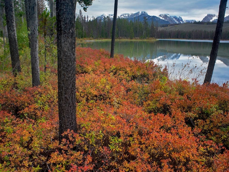 Picture of SAWTOOTH NATIONAL RECREATION AREA-IDAHO