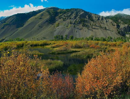 Picture of BOULDER MOUNTAINS AND TRAIL CREEK BEAVER POND IN AUTUMN-IDAHO