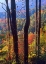 Picture of BLUE RIDGE PARKWAY NEAR DEEP GAP-NORTH CAROLINA