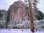 Picture of EL CAPITAN IN WINTER-YOSEMITE NATIONAL PARK-CALIFORNIA