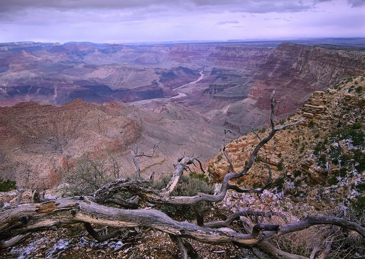 Picture of COLORADO RIVER FROM DESERT VIEW-GRAND CANYON NATIONAL PARK-ARIZONA