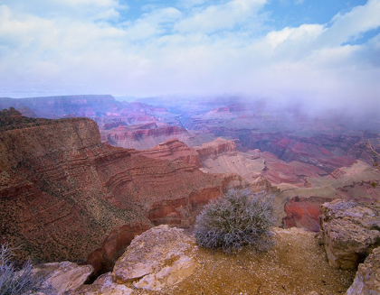 Picture of MORAN POINT-SOUTH RIM-GRAND CANYON NATIONAL PARK-ARIZONA