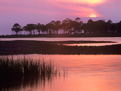 Picture of SAINT GEORGE ISLAND STATE PARK-SAINT GEORGE ISLAND-FLORIDA