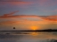 Picture of GREAT BLUE HERON AT MUSTANG ISLAND-TEXAS