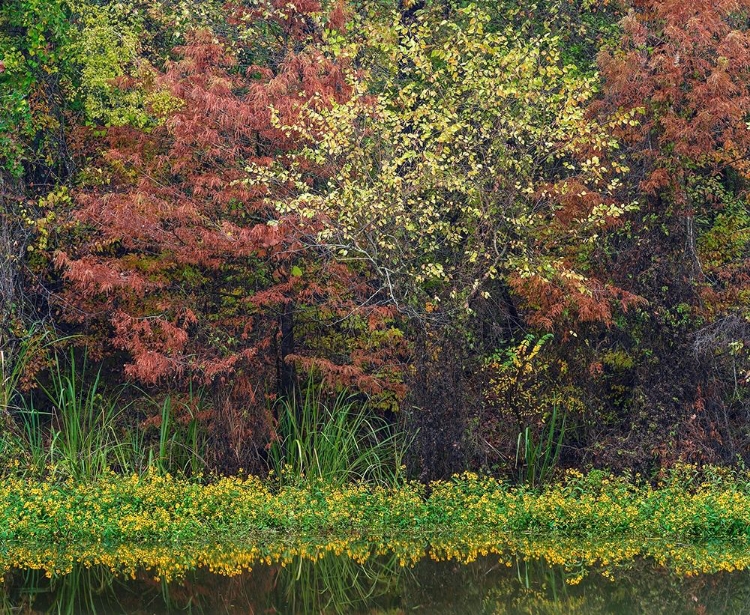 Picture of WILTON LANDING-MILLWOOD LAKE-ARKANSAS