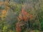Picture of OAK-HICKORY WOODLANDS-OZARK NATIONAL FOREST-ARKANSAS