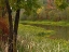 Picture of WILTON LANDING AT MILLWOOD LAKE-ARKANSAS