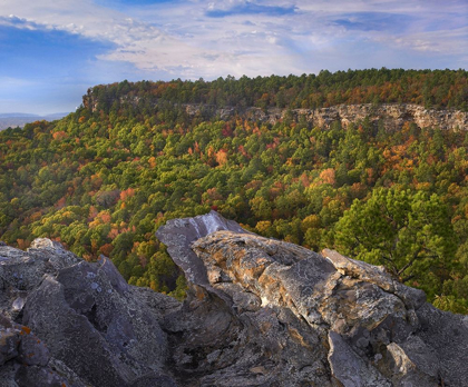 Picture of CEDAR CANYON AT PALISADES OVERLOOK-PETIT JEAN STATE PARK-ARKANSAS