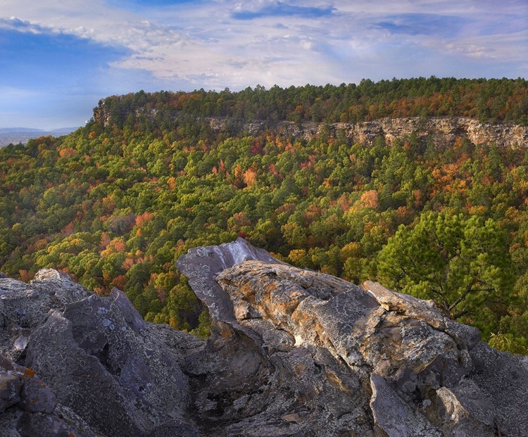 Picture of CEDAR CANYON AT PALISADES OVERLOOK-PETIT JEAN STATE PARK-ARKANSAS