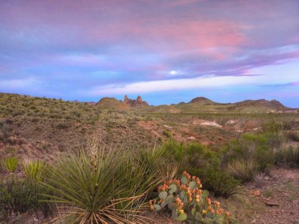 Picture of MULE EARS PEAKS-BIG BEND NATIONAL PARK-TEXAS