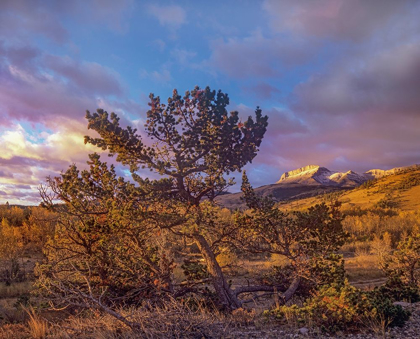 Picture of FLATHEAD RANGE-MONTANA