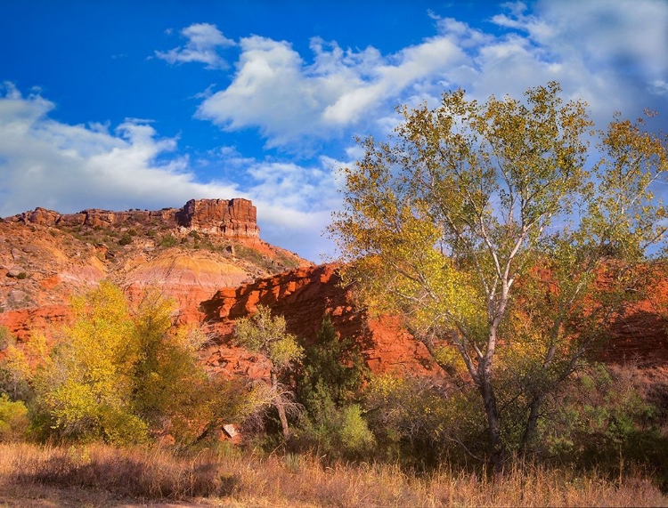 Picture of SORENSEN POINT-PALO DURO CANYON STATE PARK-TEXAS