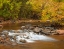 Picture of OAK CREEK IN AUTUMN NEAR SEDONA-ARIZONA