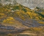 Picture of SUB-ALPINE FOREST-GOTHIC MOUNTAIN-COLORADO