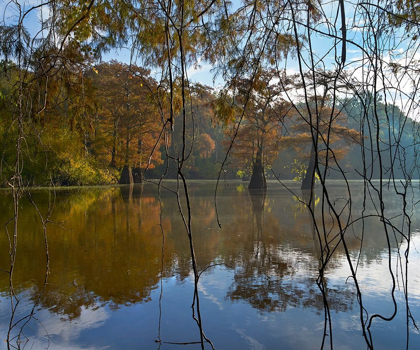 Picture of WHITE RIVER NATIONAL WILDLIFE REFUGE-ARKANSAS-USA