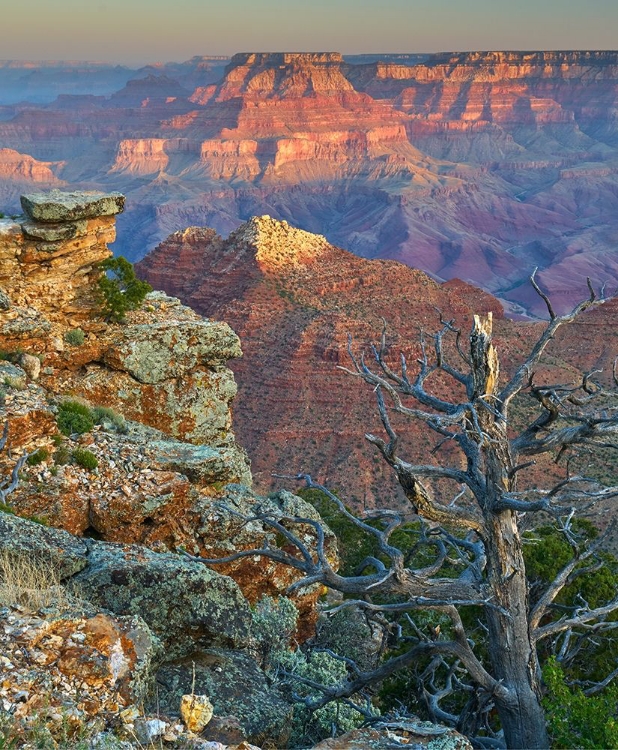 Picture of DESERT VIEW OVERLOOK-GRAND CANYON NATIONAL PARK-ARIZONA-USA