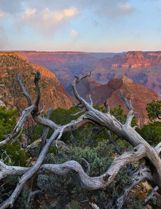 Picture of DESERT VIEW OVERLOOK-GRAND CANYON NATIONAL PARK-ARIZONA-USA