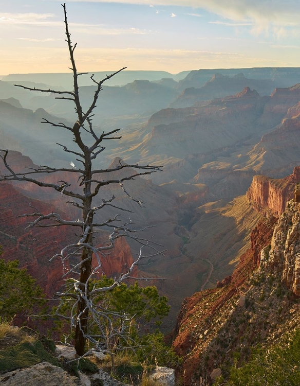 Picture of THE ABYSS FROM NEAR MOHAVE POINT-GRAND CANYON NATIONAL PARK-ARIZONA