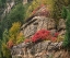 Picture of OAK CREEK CANYON NEAR SEDONA-ARIZONA