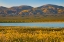 Picture of TEMBLOR RANGE AT SODA LAKE -CARRIZO PLAIN NATIONAL MONUMENT-CALIFORNIA
