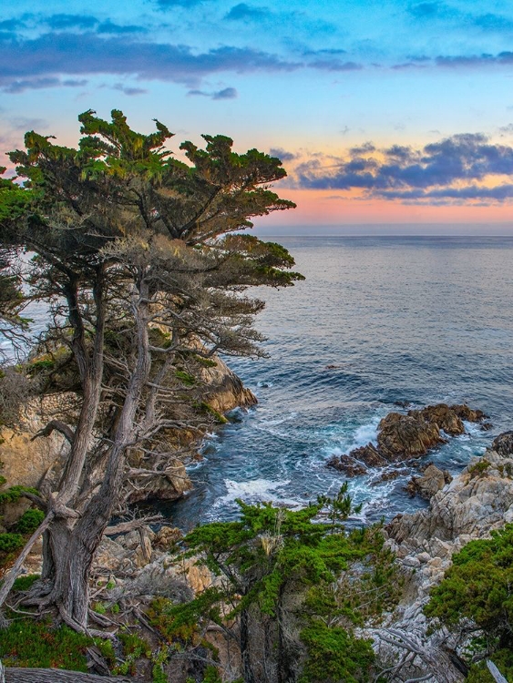 Picture of PESCDERO POINT-17-MILE DRIVE-PEBBLE-BEACH-CALIFORNIA-USA