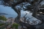 Picture of PESCDERO POINT-17-MILE DRIVE-PEBBLE-BEACH-CALIFORNIA-USA