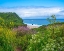 Picture of GARRAPATA STARE PARK-BIG SUR-CALIFORNIA-USA