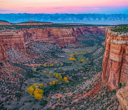 Picture of UTE CANYON-COLORADO NATIONAL MONUMENT-COLORADO