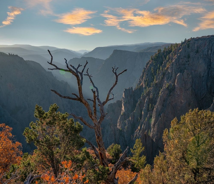 Picture of TOMICHI POINT-BLACK CANYON OF THE GUNNISON NATIONAL PARK-COLORADO