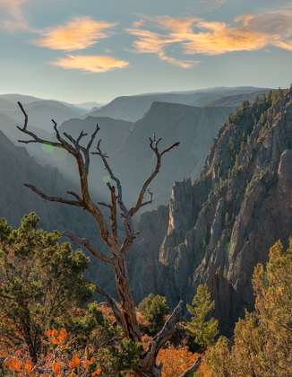 Picture of TOMICHI POINT-BLACK CANYON OF THE GUNNISON NATIONAL PARK-COLORADO