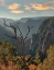Picture of TOMICHI POINT-BLACK CANYON OF THE GUNNISON NATIONAL PARK-COLORADO