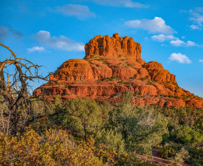 Picture of BELL ROCK-COCONINO NATIONAL FOREST NEAR SEDONA-ARIZONA-USA