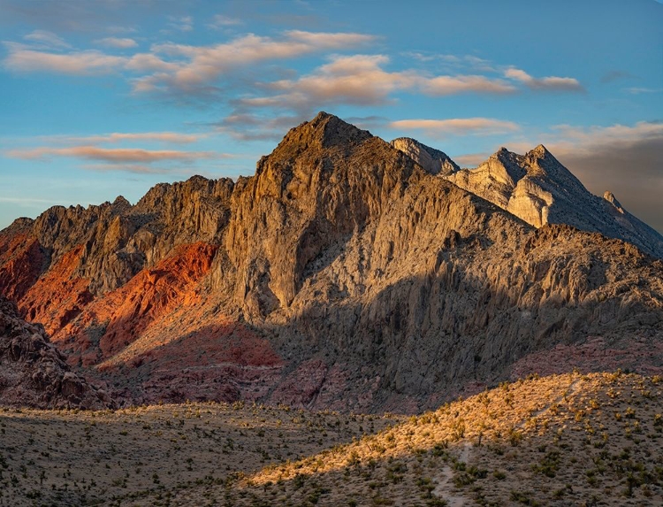 Picture of RED ROCK CANYON NATIONAL CONSERVATION AREA-NEVADA-USA 