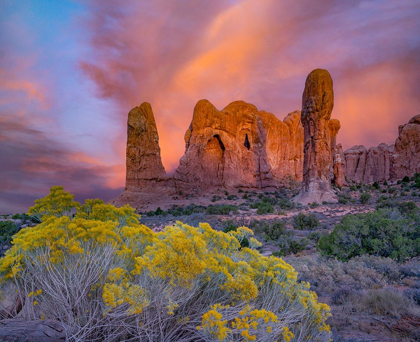 Picture of PARADE OF THE ELEPHANTS SANDSTONE FORMATION-ARCHES NATIONAL PARK-UTAH