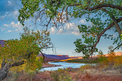 Picture of PORCUPINE CANYON ON COLORADO RIVER NEAR CASTLE VALLEY-UTAH-USA