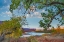 Picture of PORCUPINE CANYON ON COLORADO RIVER NEAR CASTLE VALLEY-UTAH-USA
