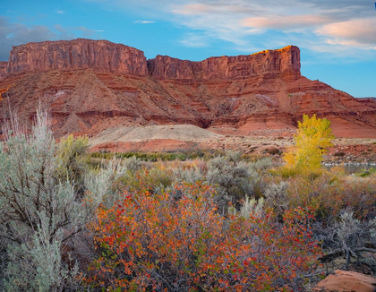 Picture of PORCUPINE CANYON WITH DOME PLATEAU ON COLORADO RIVER NEAR MOAB-UTAH