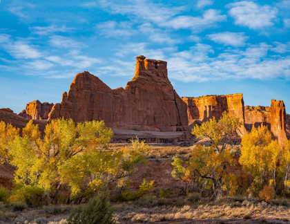 Picture of COURTHOUSE TOWERS FROM COURTHOUSE WASH-ARCHES NATIONAL PARK-UTAH