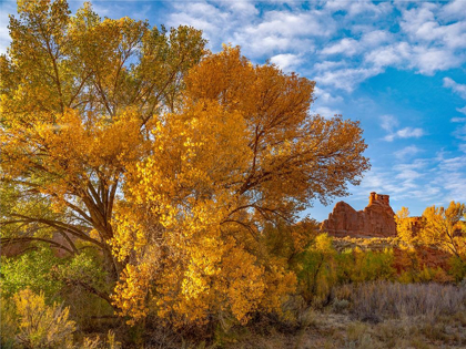 Picture of COURTHOUSE TOWERS FROM COURTHOUSE WASH-ARCHES NATIONAL PARK-UTAH