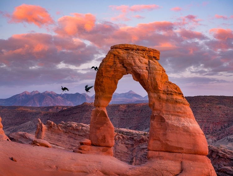 Picture of DELICATE ARCH-ARCHES NATIONAL PARK-UTAH-USA