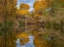 Picture of LAGOON REFLECTION-DEAD HORSE RANCH STATE PARK-ARIZONA-USA