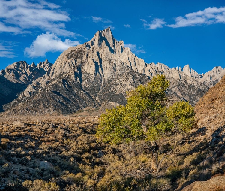 Picture of LONE PINE PEAK-EASTERN SIERRA-CALIFORNIA