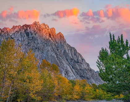 Picture of MOUNT TOM-EASTERN SIERRA-CALIFORNIA-USA