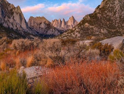 Picture of MOUNT WHITNEY-SEQUOIA NATIONAL PARK-CALIFORNIA-USA
