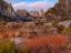 Picture of MOUNT WHITNEY-SEQUOIA NATIONAL PARK-CALIFORNIA-USA