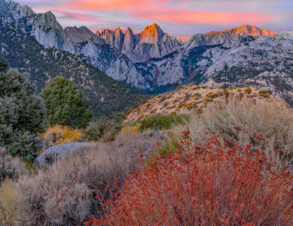 Picture of MOUNT WHITNEY-SEQUOIA NATIONAL PARK-CALIFORNIA-USA