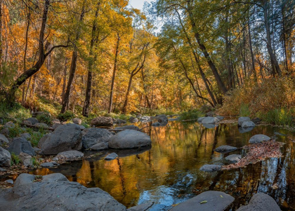 Picture of OAK CREEK NEAR SEDONA-ARIZONA-USA