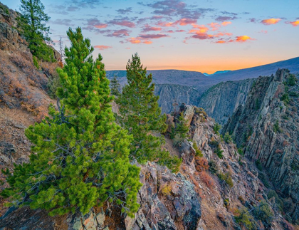 Picture of TOMICHI POINT-BLACK CANYON OF THE GUNNISON NATIONAL PARK-COLORADO