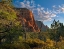Picture of COCONINO NATIONAL FOREST NEAR SEDONA-ARIZONA-USA